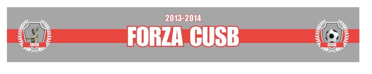 SCIARPE RASO FORZA CUSB PERSONALIZZATE SCIARPE RASO FORZA CUSB
